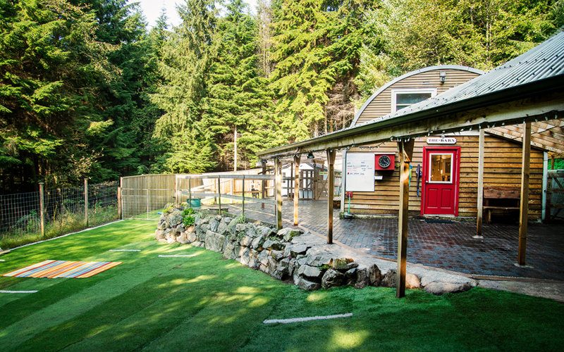 Dog ranch boarding deals