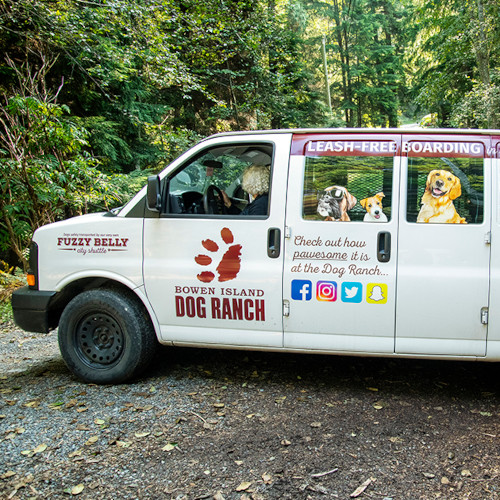 Karen driving the Dog Ranch city shuttle van on Bowen Island.