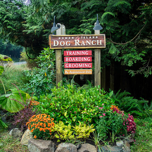 Outdoor wood sign for the Bowen Island Dog Ranch.
