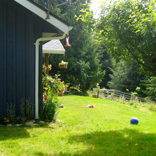 Old Dog Ranch house and sunshine on the lawn.