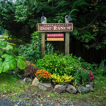 Bowen Island Dog Ranch roadside sign.