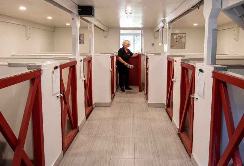 The lodge at the Bowen Island Dog Ranch